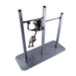 Kulturysta na drążku. Crossfit